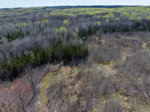 tbd Swedlund Rd, Herbster, WI 54844 photo 4