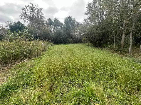 tbd Highway 200, Ada, MN 56510 photo 44