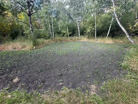 tbd Highway 200, Ada, MN 56510 photo 35