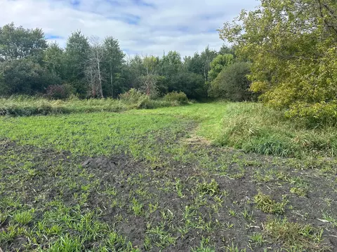 tbd Highway 200, Ada, MN 56510 photo 38