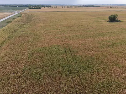 tbd County Rd 39, Borup, MN 56519 photo 3