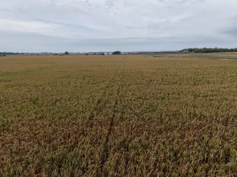tbd County Rd 39, Borup, MN 56519 photo 2