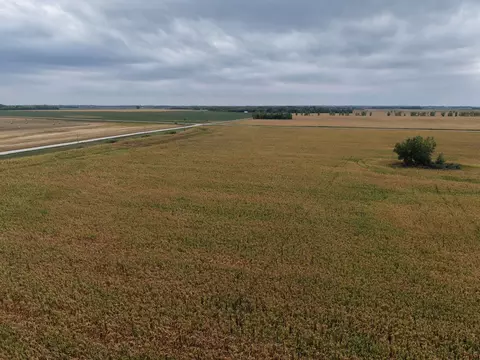 tbd County Rd 39, Borup, MN 56519 photo 5