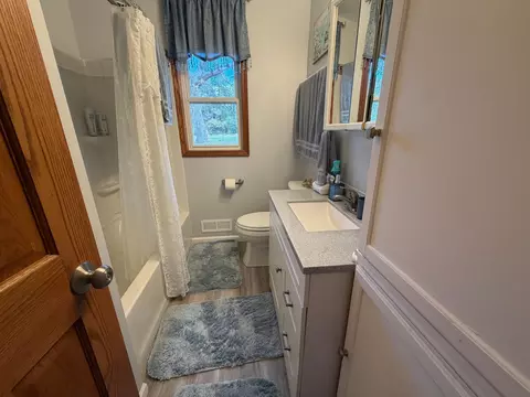Bath - 22601 770th Ave, Albert Lea, MN 56007 photo 1 of 1