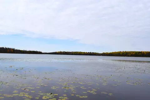 67351 Tranquility Trl, Effie, MN 56639 photo 33