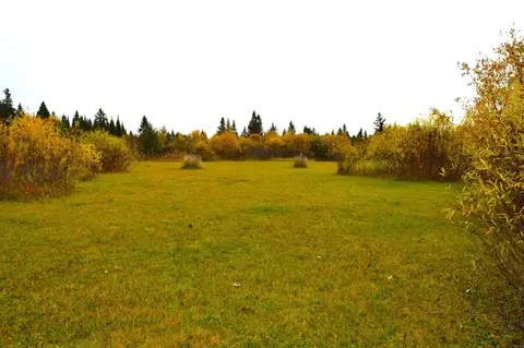 67351 Tranquility Trl, Effie, MN 56639 photo 41
