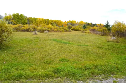 67351 Tranquility Trl, Effie, MN 56639 photo 5
