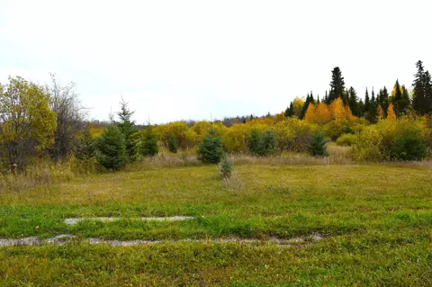 67351 Tranquility Trl, Effie, MN 56639 photo 39