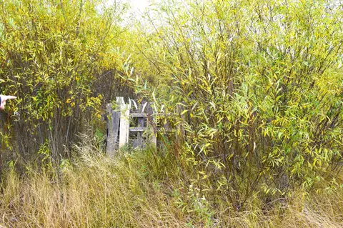 67351 Tranquility Trl, Effie, MN 56639 photo 43