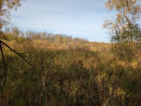 tbd 90th Ave, Milaca, MN 56353 photo 5