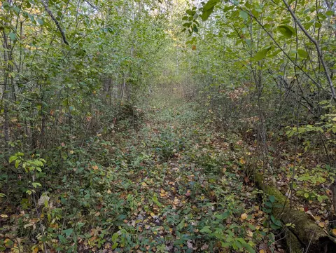 tbd 90th Ave, Milaca, MN 56353 photo 7