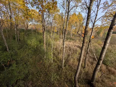 tbd 90th Ave, Milaca, MN 56353 photo 10