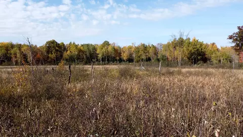 tbd 90th Ave, Milaca, MN 56353 photo 12