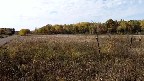 tbd 90th Ave, Milaca, MN 56353 photo 13