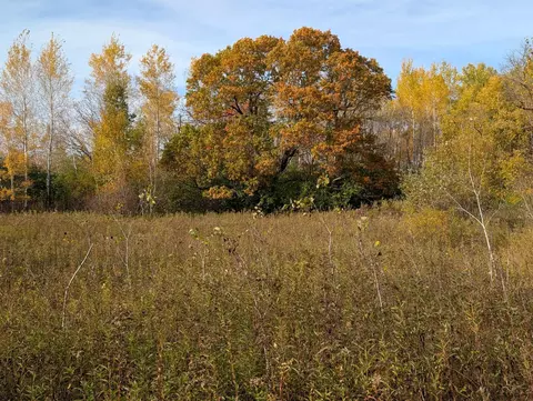 tbd 90th Ave, Milaca, MN 56353 photo 3