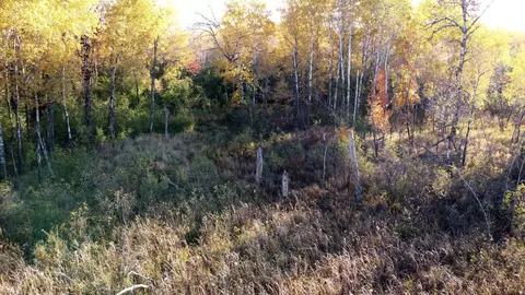 tbd 90th Ave, Milaca, MN 56353 photo 19