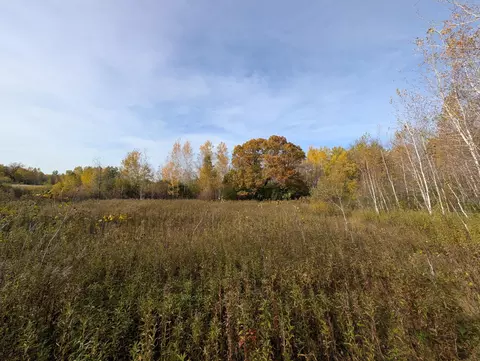 tbd 90th Ave, Milaca, MN 56353 photo 2