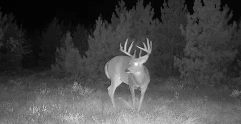 tbd 90th Ave, Milaca, MN 56353 photo 6