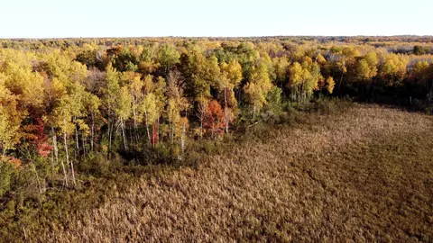 tbd 90th Ave, Milaca, MN 56353 photo 18