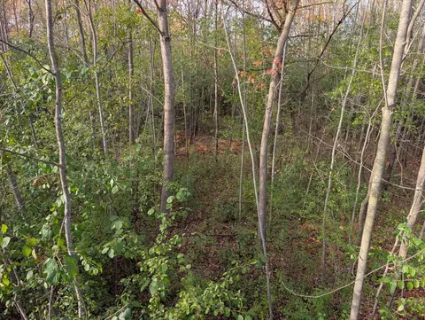 tbd 90th Ave, Milaca, MN 56353 photo 8