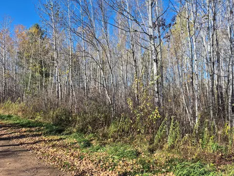 tbd Henry Rd, Finlayson, MN 55735 photo 12