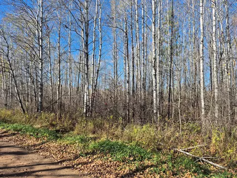 tbd Henry Rd, Finlayson, MN 55735 photo 13