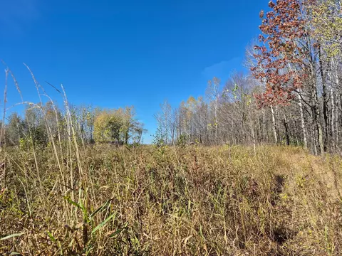 tbd Henry Rd, Finlayson, MN 55735 photo 4