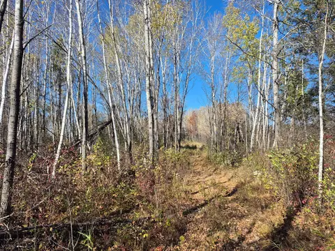 tbd Henry Rd, Finlayson, MN 55735