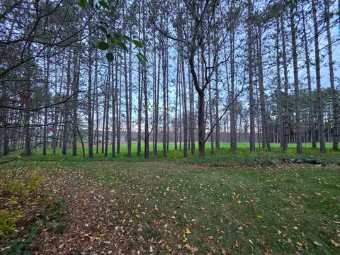 w1060 Silver Fox Drive, Spring Valley, WI 54767 photo 2