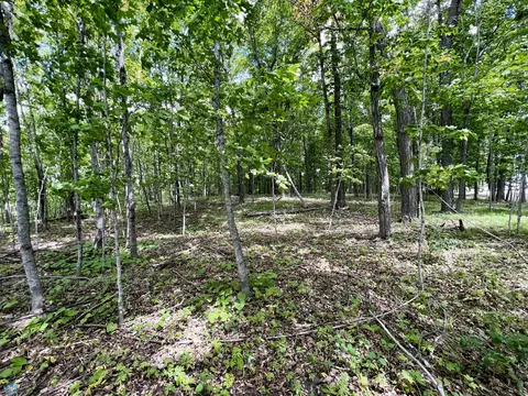 tbd Adams Point Ln, Frazee, MN 56544 photo 5