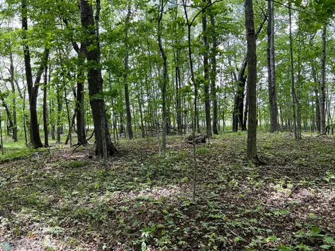 tbd Adams Point Ln, Frazee, MN 56544 photo 7