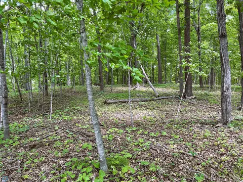 tbd Adams Point Ln, Frazee, MN 56544 photo 4