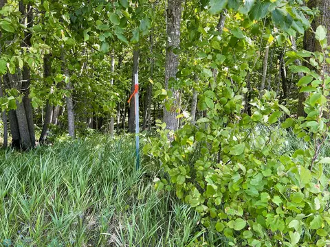 tbd Adams Point Ln, Frazee, MN 56544 photo 19