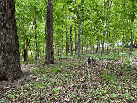tbd Adams Point Ln, Frazee, MN 56544 photo 6