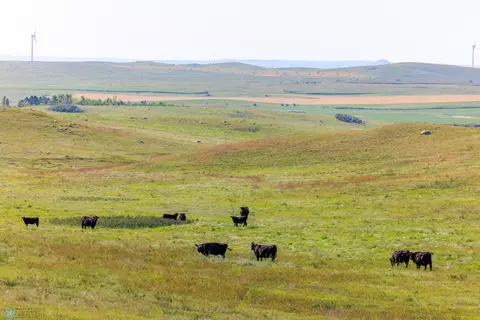 Nw4 & N2se4 Of 7-141-85, New Salem, ND 58563