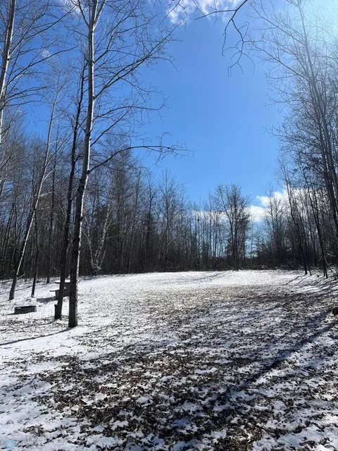 tbd Perrine Dr, Rochert, MN 56578 photo 12