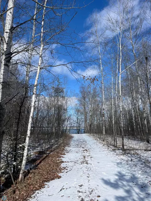 tbd Perrine Dr, Rochert, MN 56578 photo 7