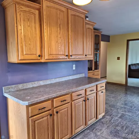 9533 County 45, Langdon, ND 58249 photo 17