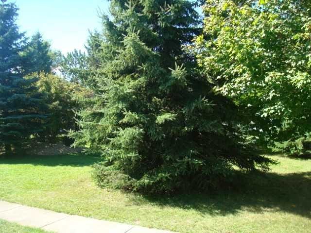 527 Selfridge Dr, Duluth, MN 55811 photo 13