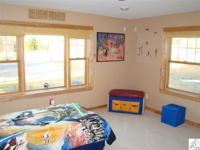 66 E Harney Rd, Esko, MN 55733 photo 12