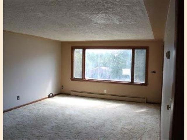 415 S Boundary Ave, Duluth, MN 55810 photo 3