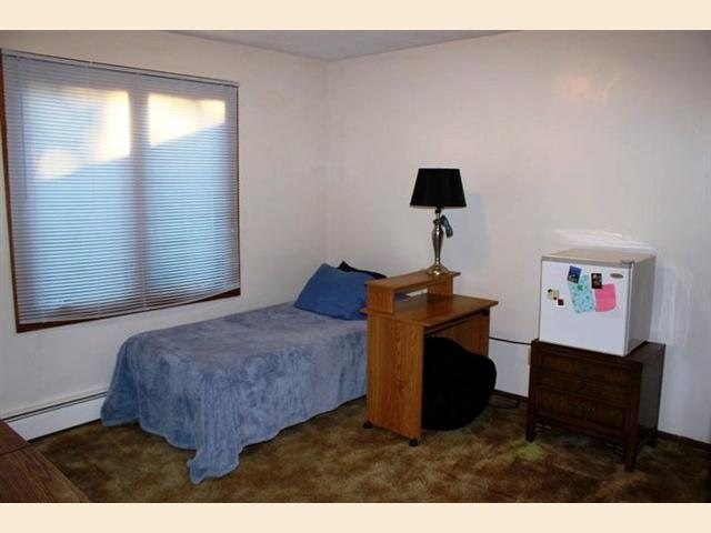 1721 Trail Dr, Duluth, MN 55803 photo 11