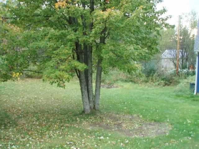 402 Maple Grove Rd, Duluth, MN 55811 photo 10