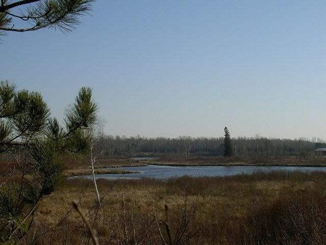 6043 Woodbury Dr, Wright, MN 55798 photo 4