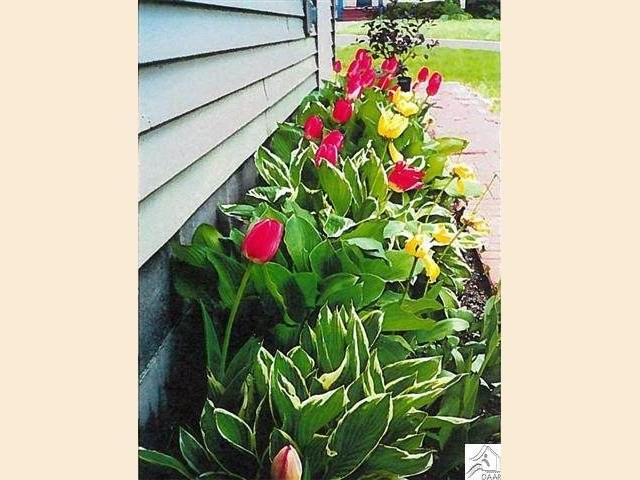 508 Park St, Duluth, MN 55803 photo 11