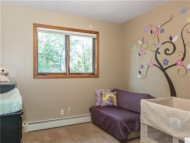 4124 Peabody St, Duluth, MN 55804 photo 8