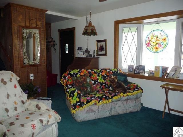 204 E House St, Duluth, MN 55808 photo 3