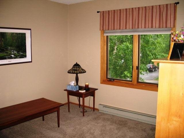 4909 Idlewild St, Duluth, MN 55804 photo 9