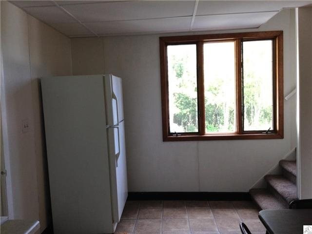533 W Redwing St, Duluth, MN 55803 photo 3