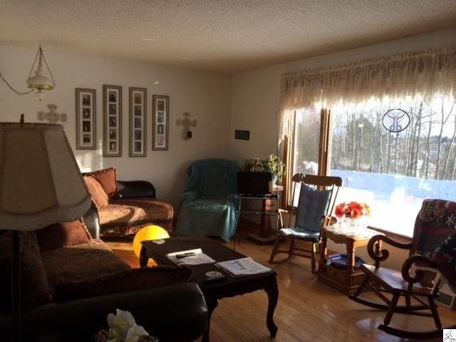231 W Locust St, Duluth, MN 55811 photo 2
